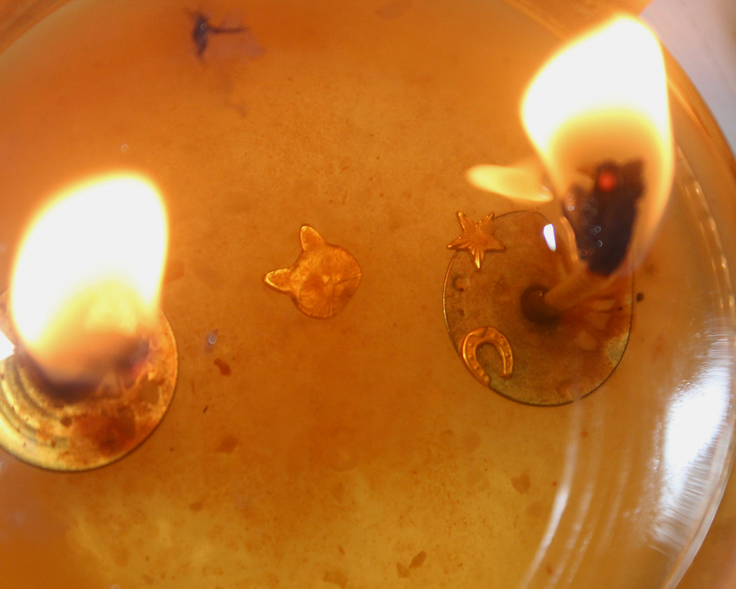 Flames of Fortune (Gold Edition)